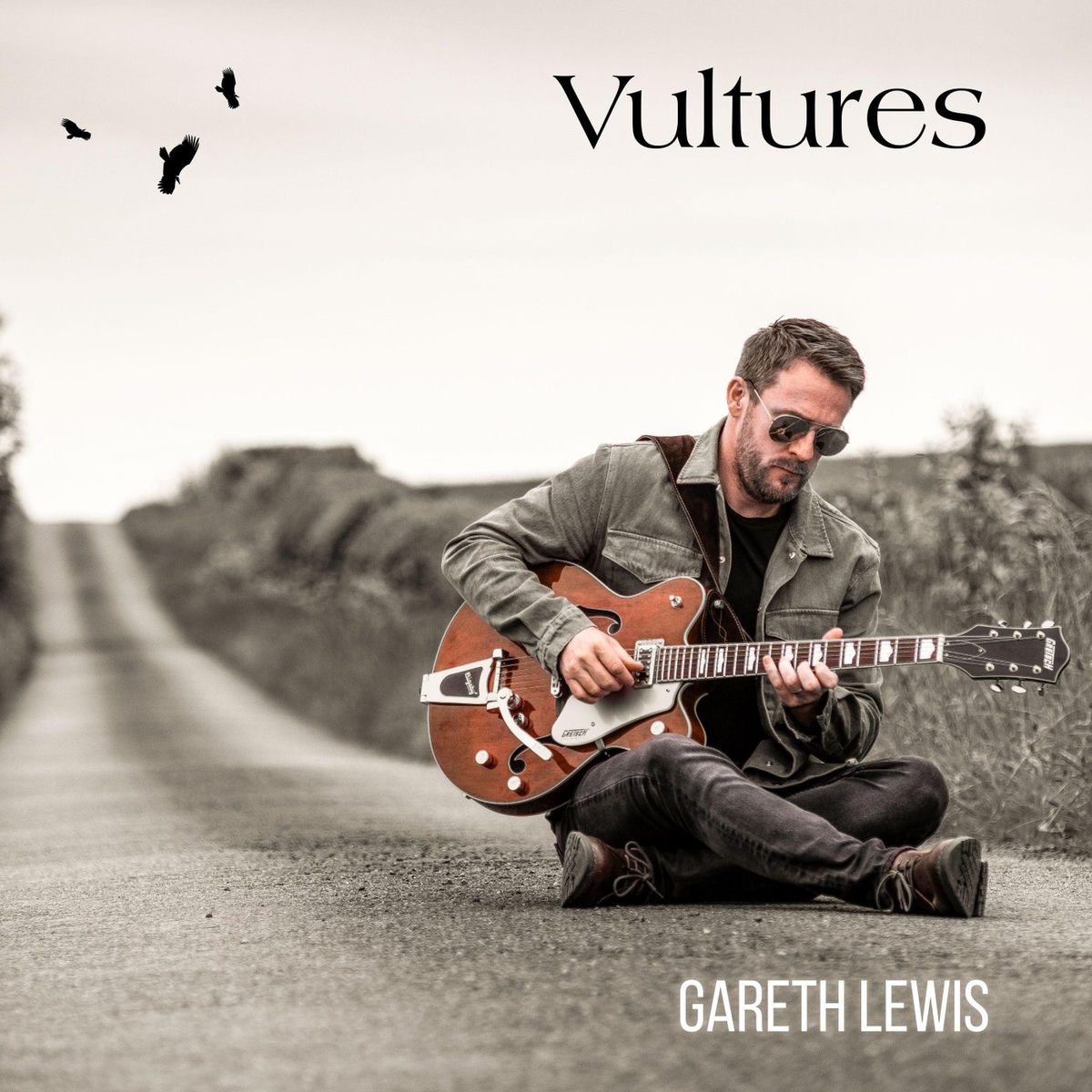 Album cover of Vultures