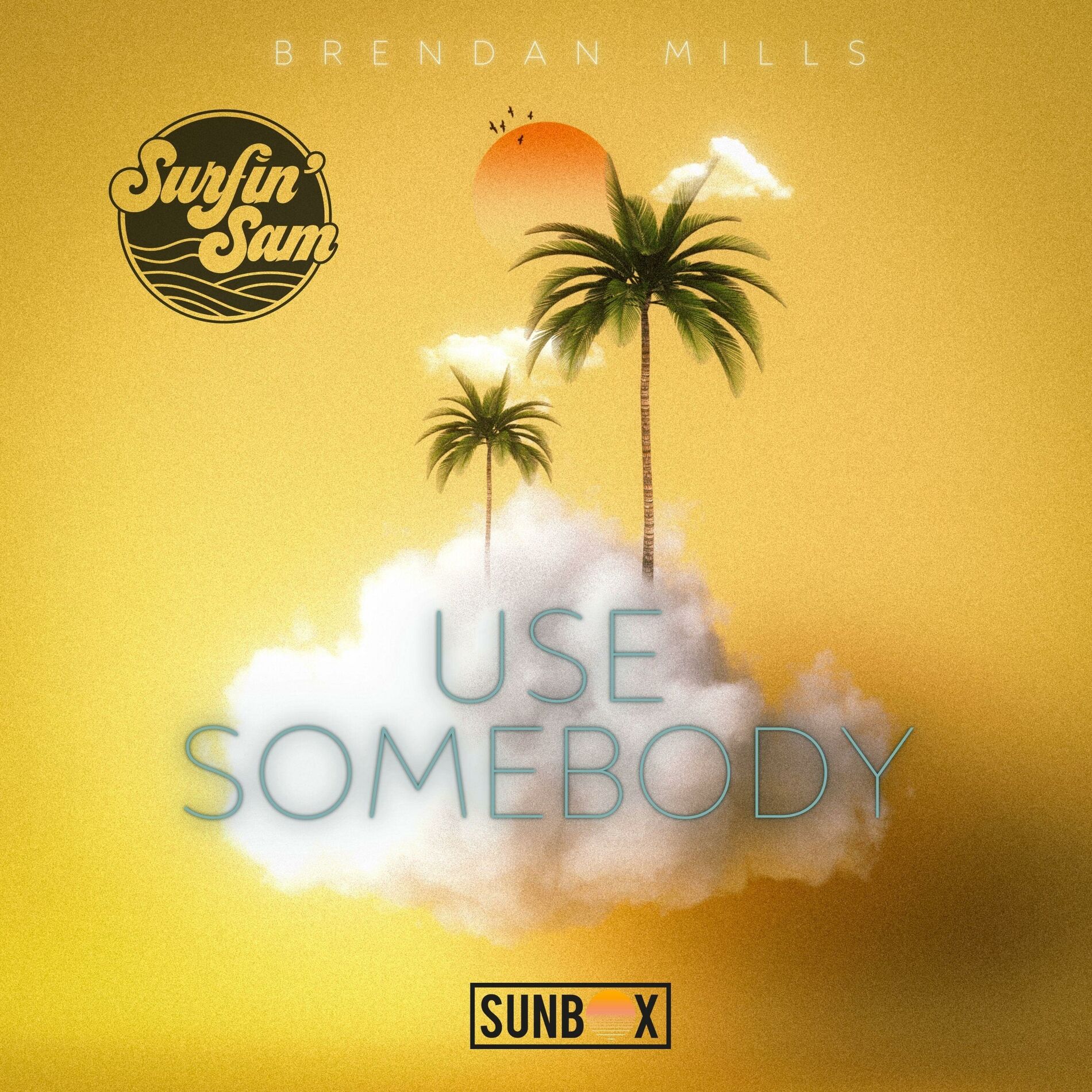 Album cover of Use Somebody