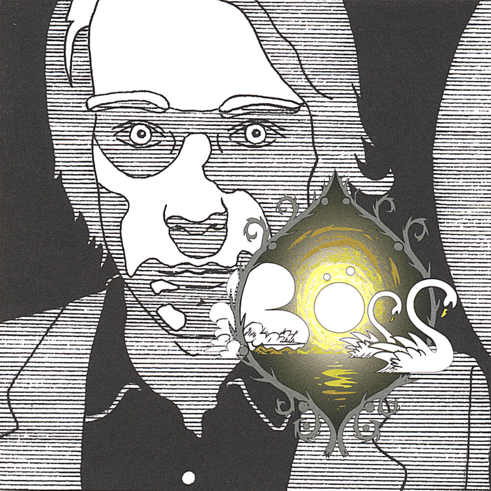 Picture of An Iron Fist In A Velvet Glove
