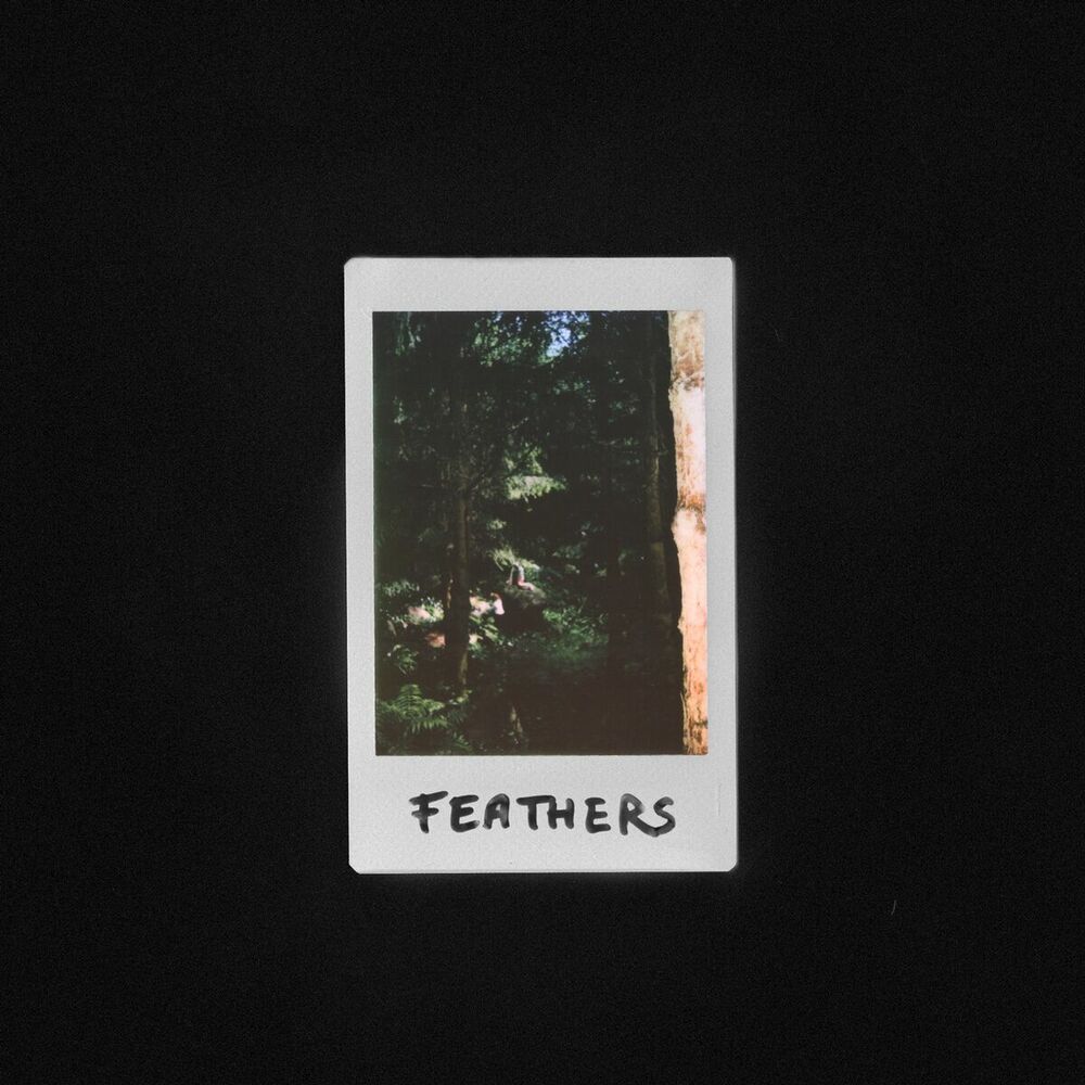 Picture of Feathers
