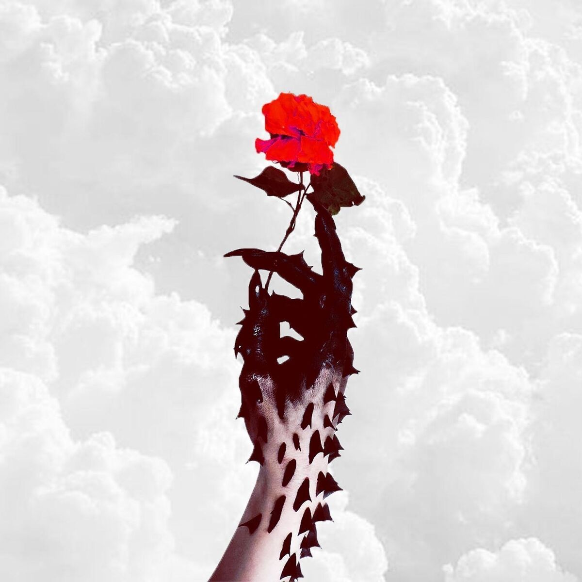 Album cover of Thorns