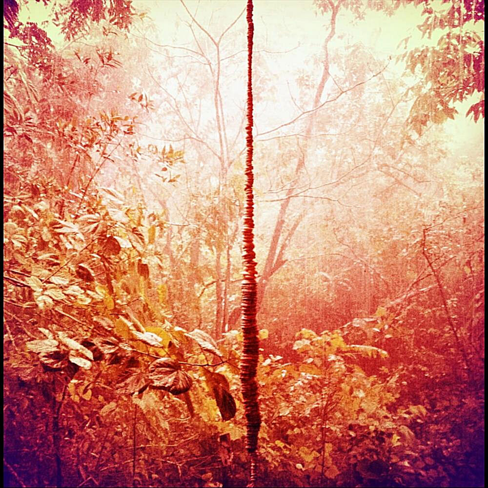 Picture of Enchanted Hallways