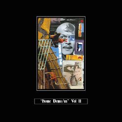 Cover of Home Demo/ns vol. II