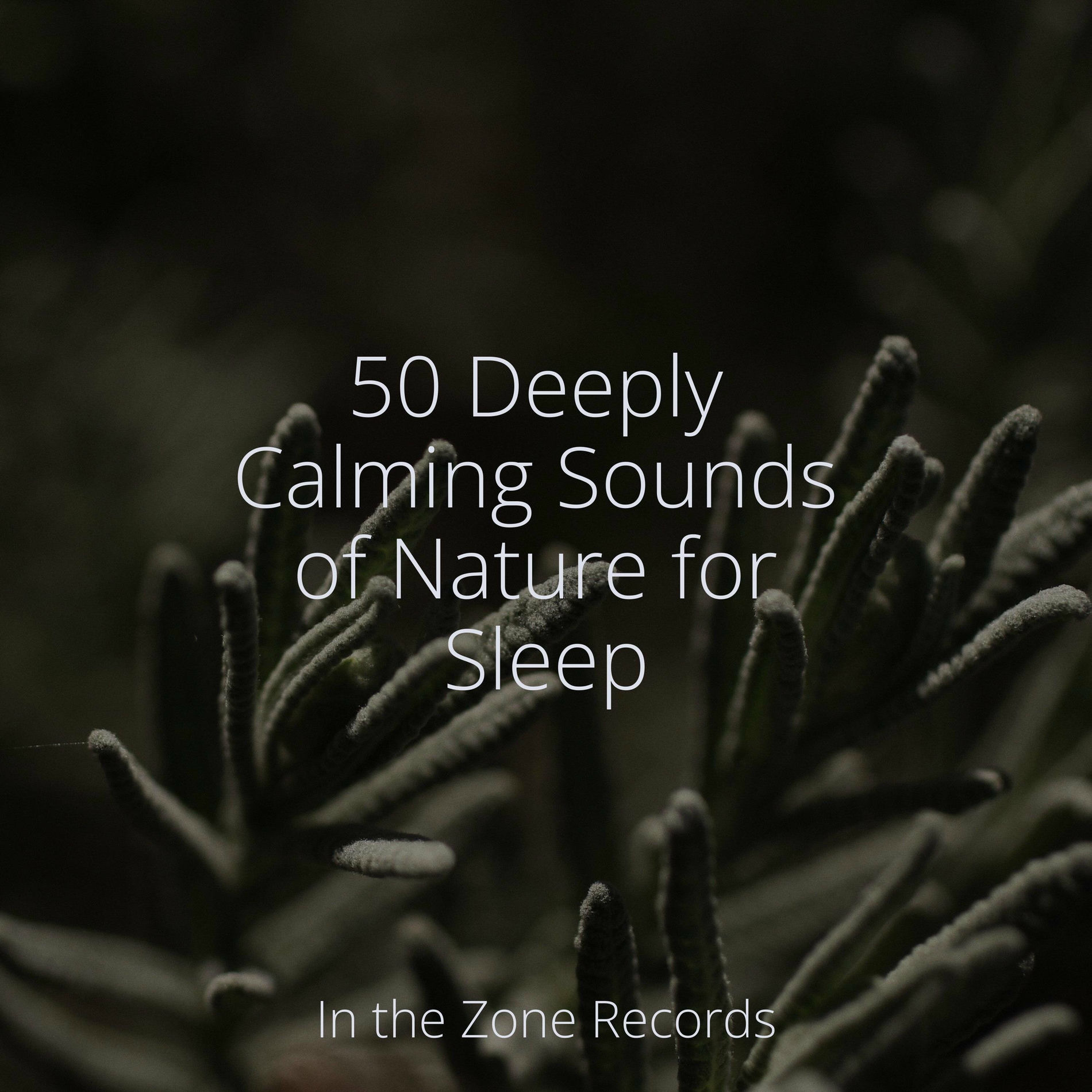 Album cover of 50 Deeply Calming Sounds of Nature for Sleep