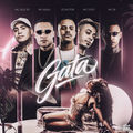 Gata