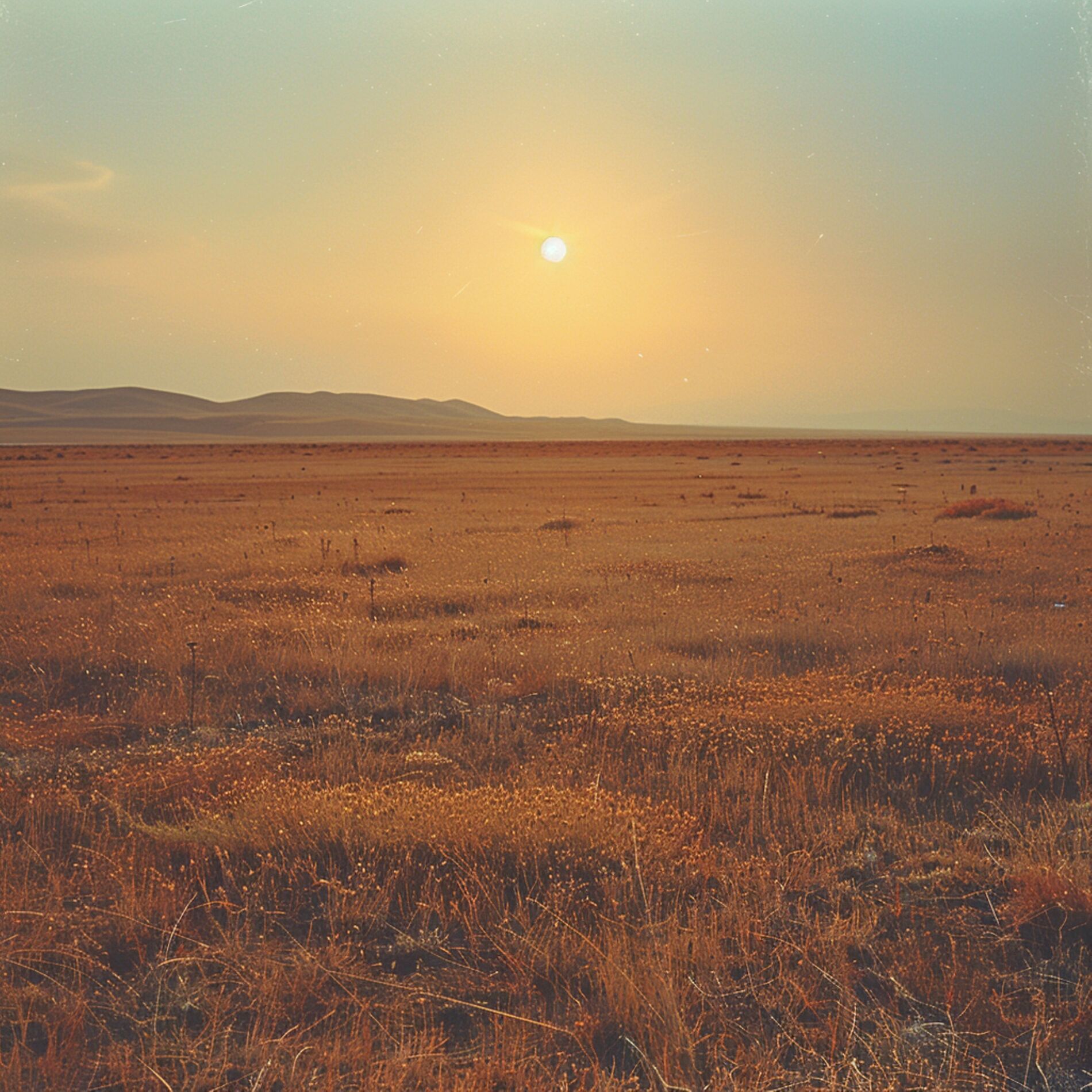 Album cover of Горячие ритмы степей