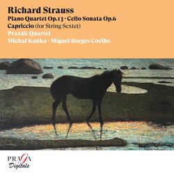 Cover of Richard Strauss: Piano Quartet, Cello Sonata, Capriccio (String Sextet)