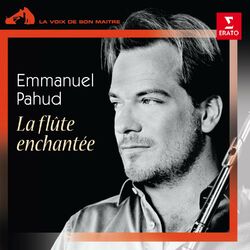 Cover of La flûte enchantée