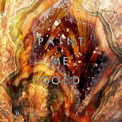 Cover of Paint Me Gold