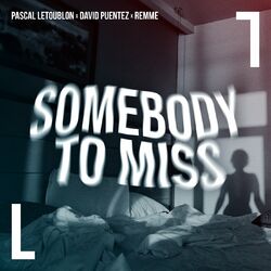 Cover of Somebody To Miss