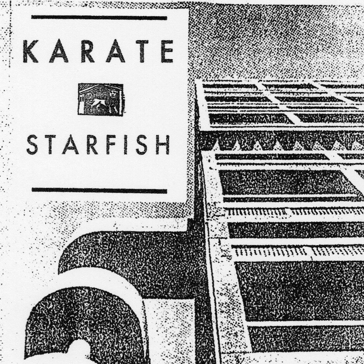 Album cover of Starfish