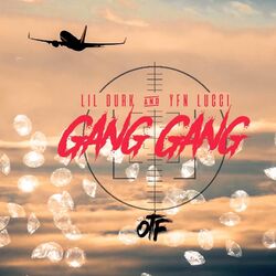 Cover of Gang Gang