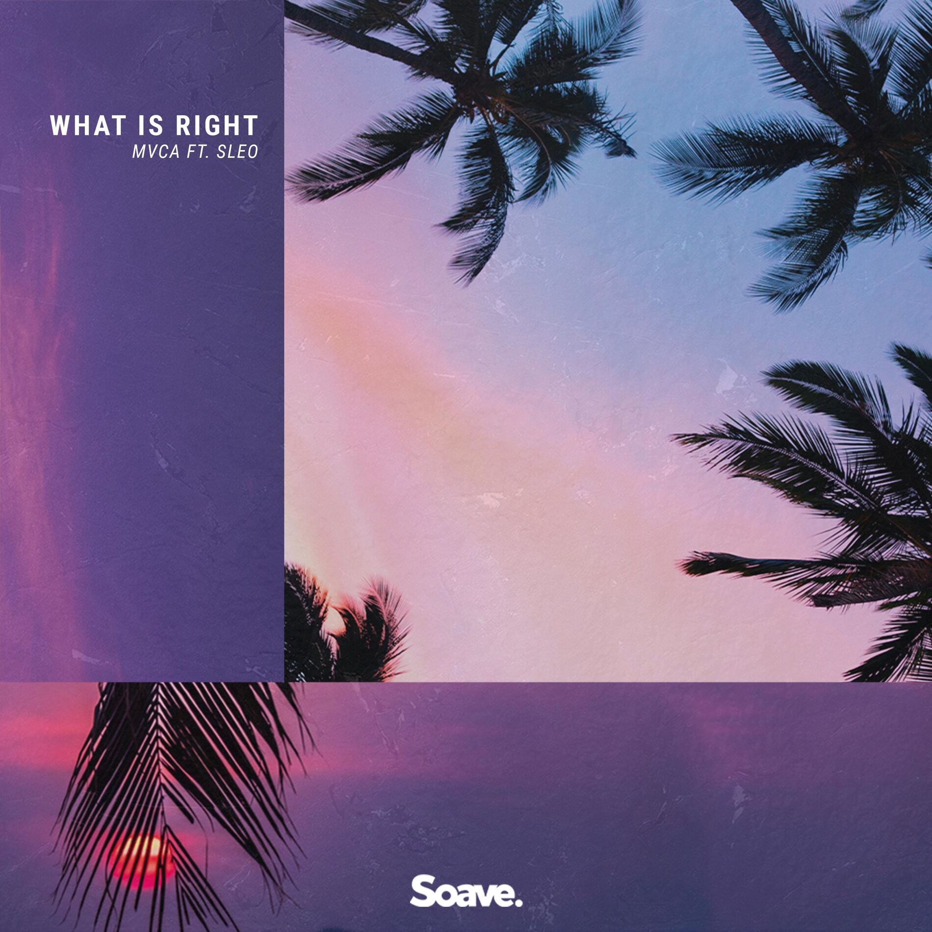 Album cover of What Is Right (feat. Sleo)