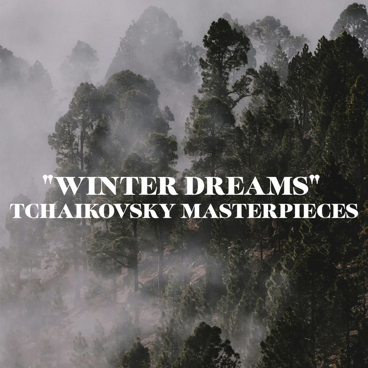 Album cover of 