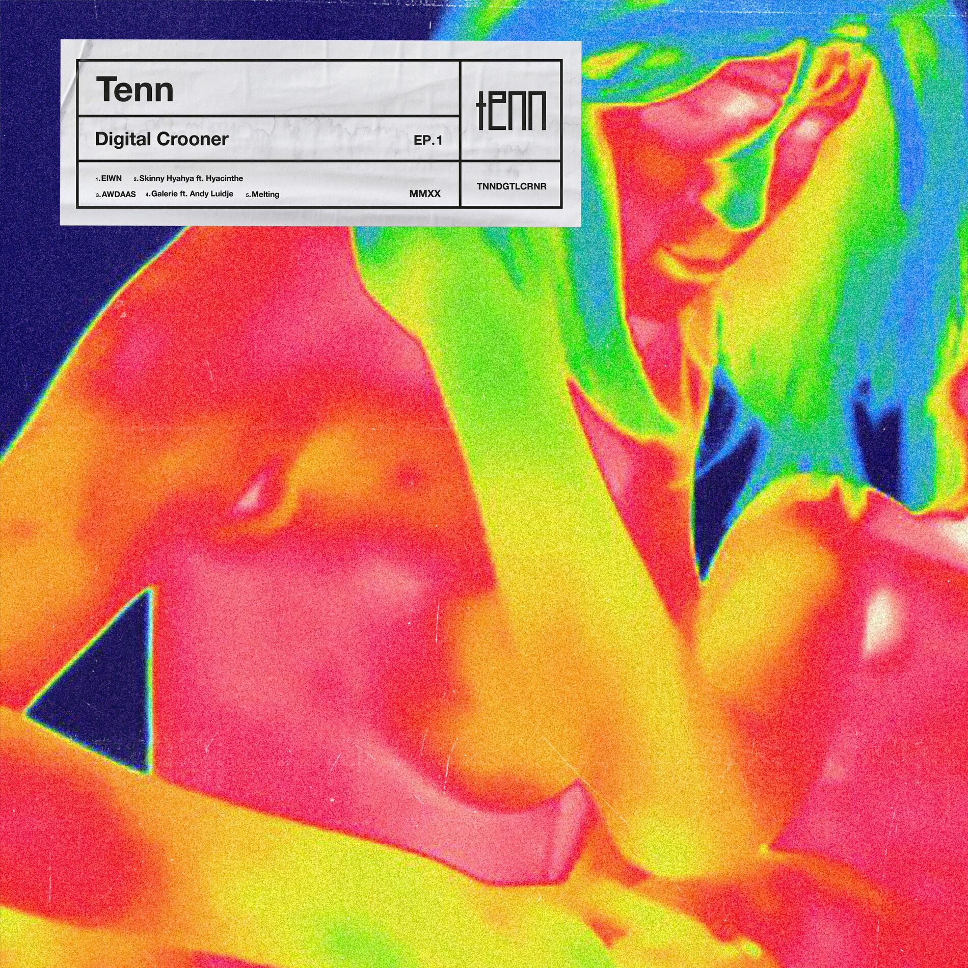 Album cover of Digital Crooner