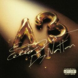 Cover of 43