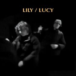 Cover of Laugh Now Cry L8r
