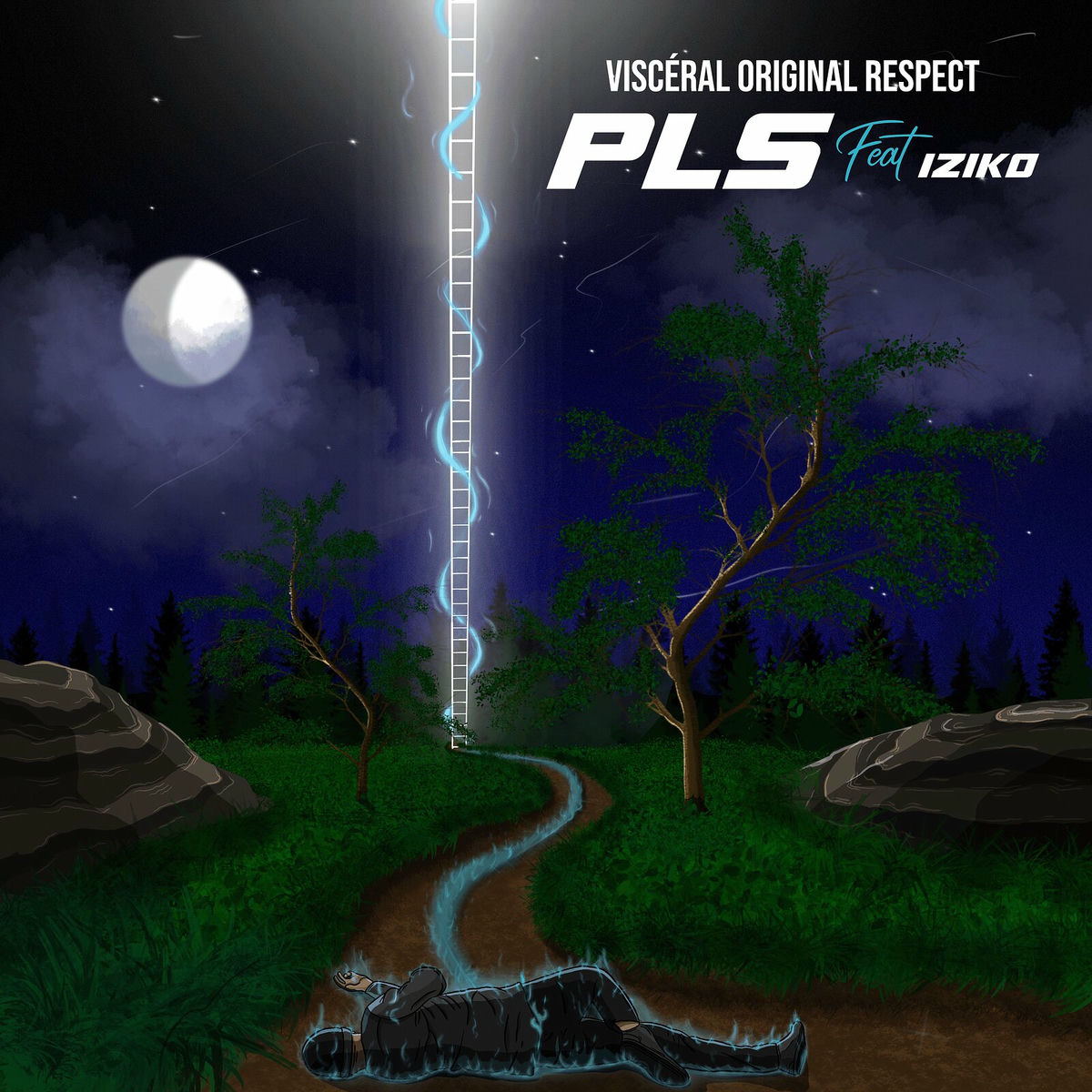 Album cover of PLS