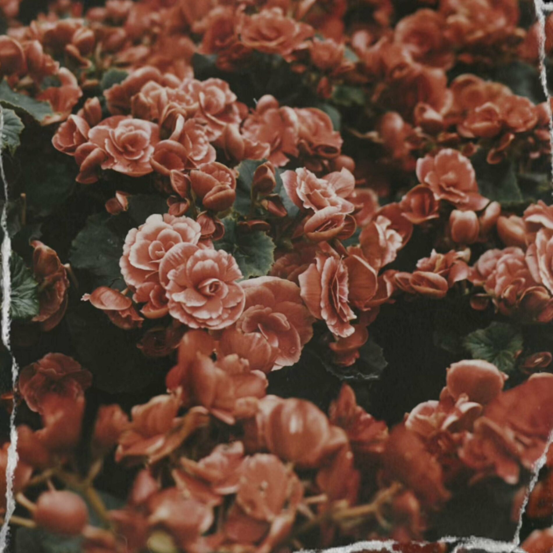 Album cover of Pull You Closer