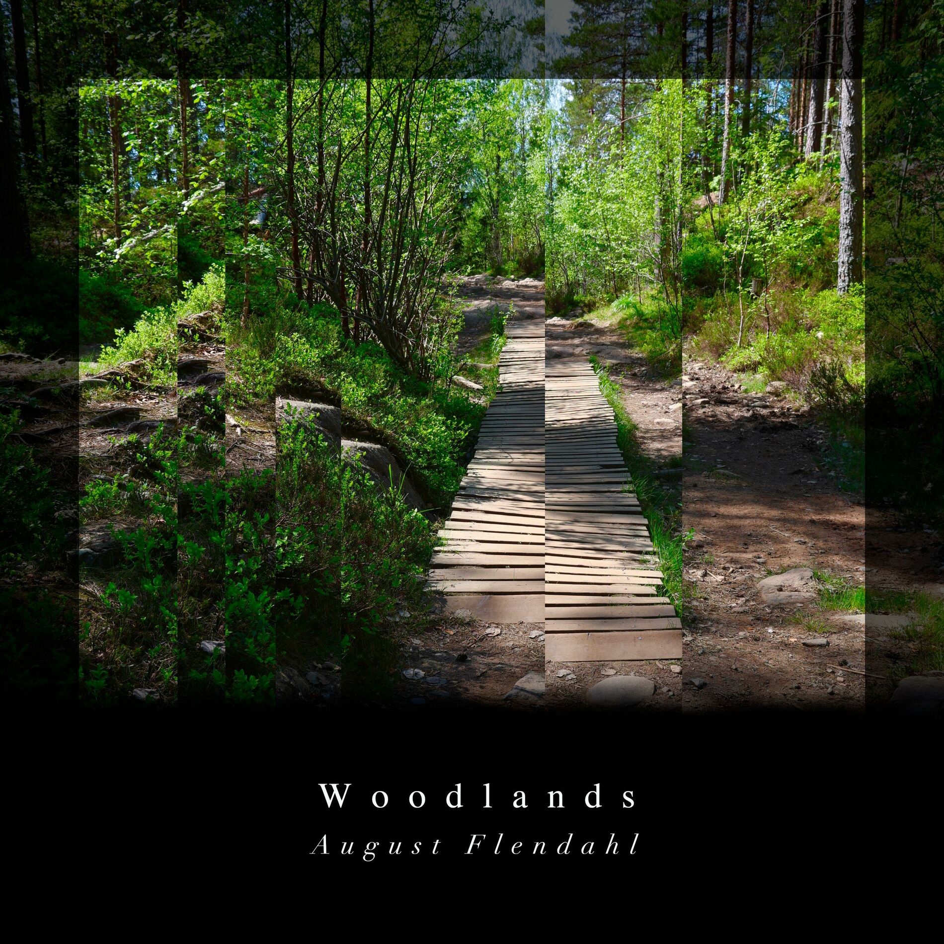 Album cover of Woodlands