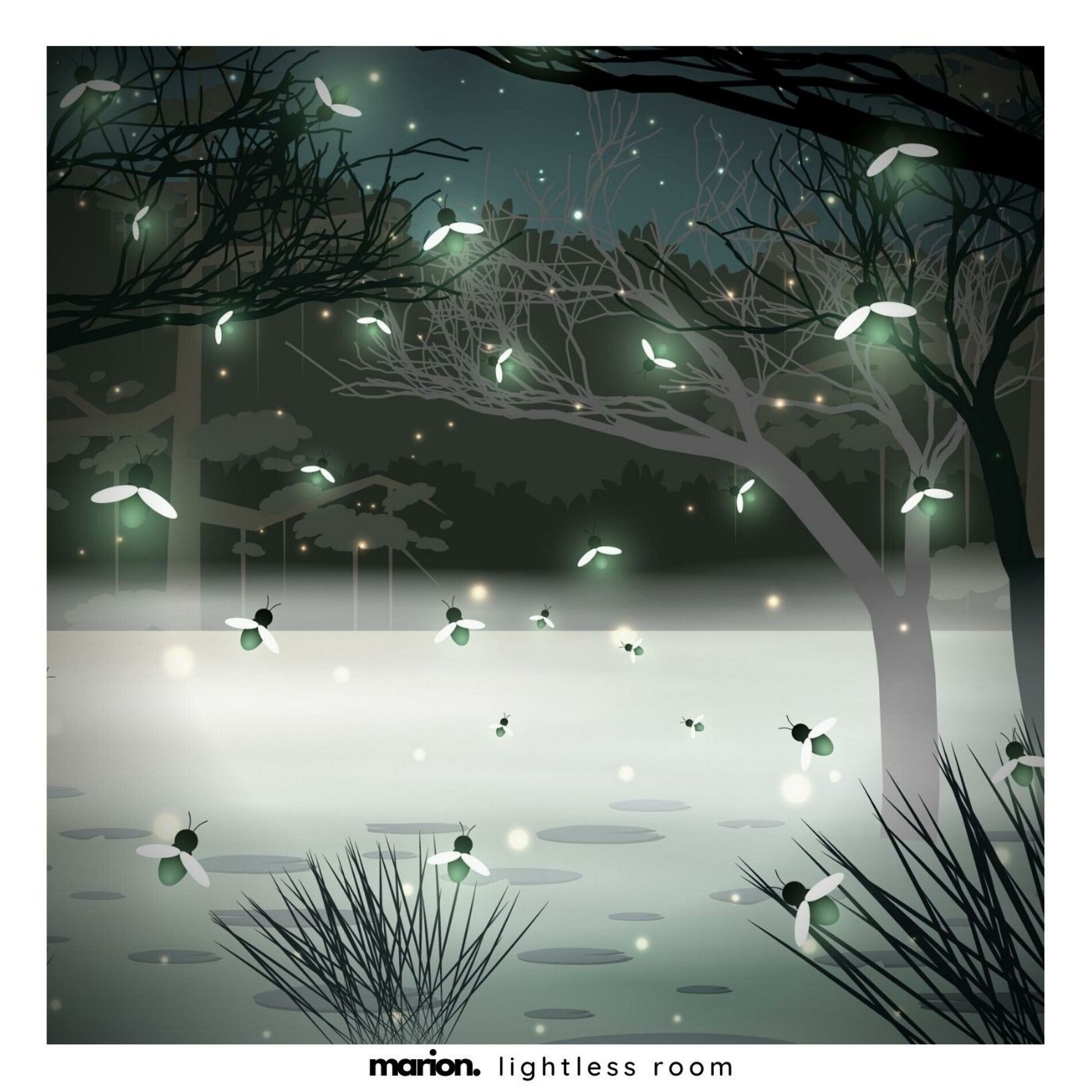 Album cover of Lightless Room