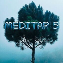Cover of Meditar 5
