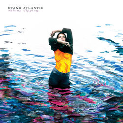 Cover of Skinny Dipping