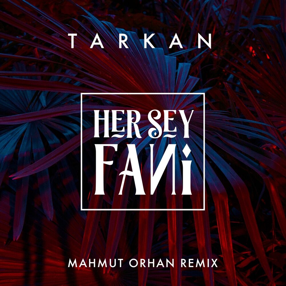 Picture of Her Şey Fani (Mahmut Orhan Remix)