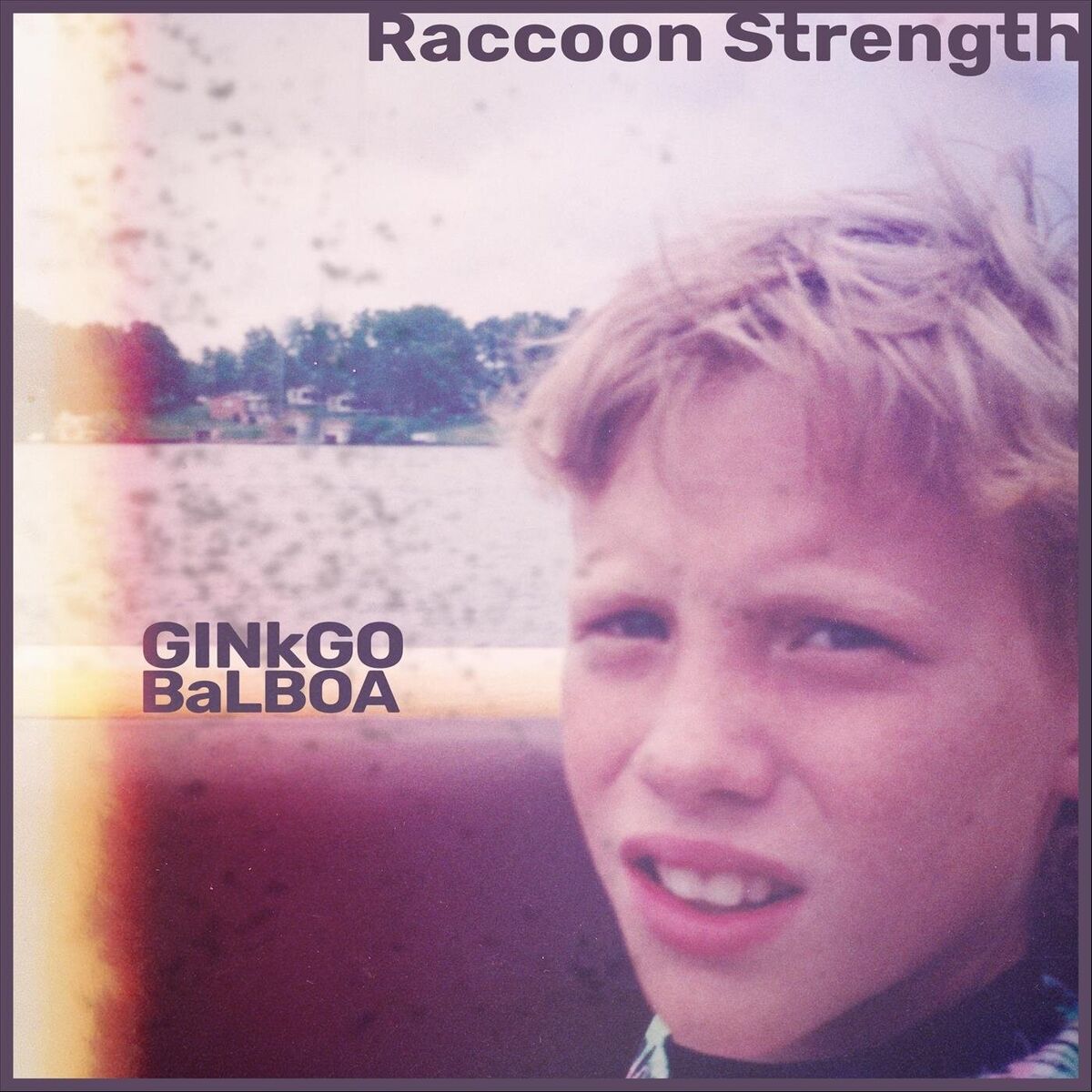 Album cover of Raccoon Strength
