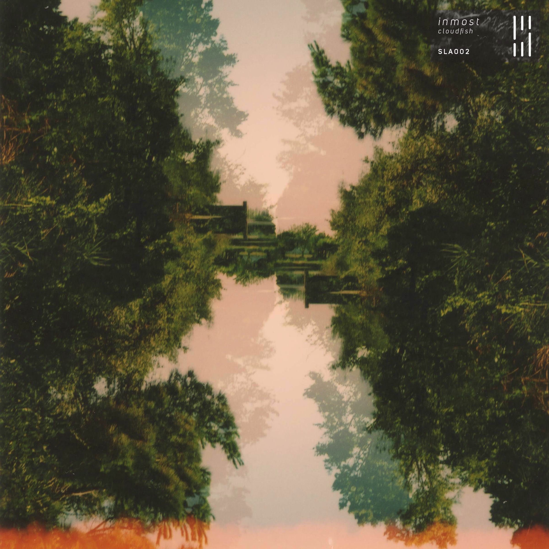 Album cover of Cloudfish
