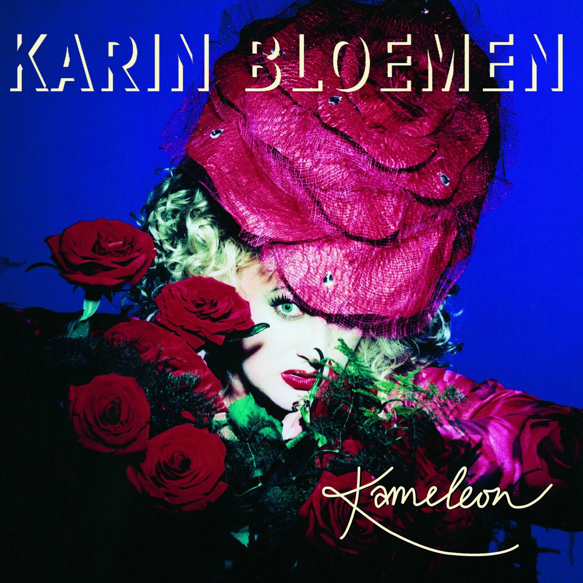 Album cover of Kameleon