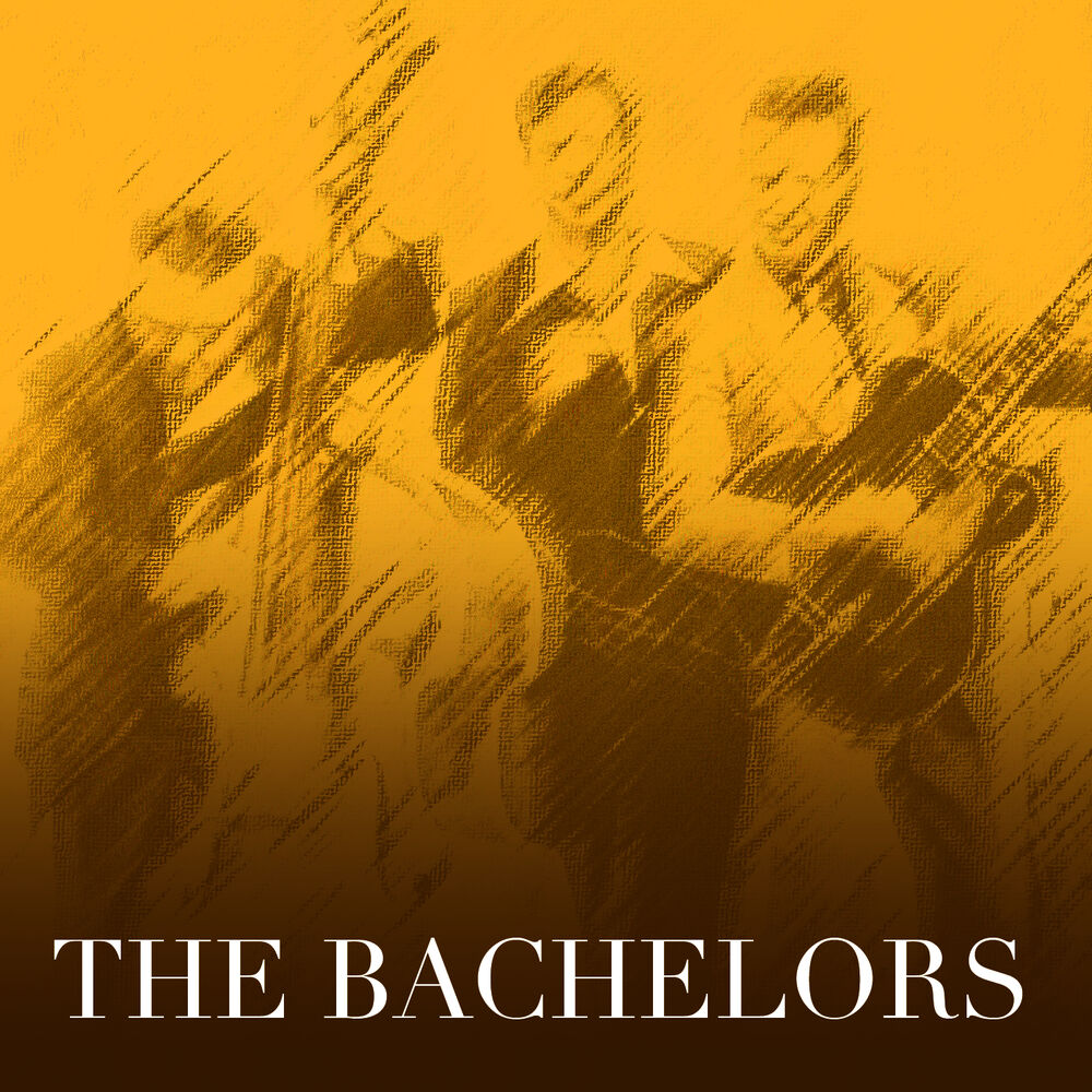Picture of The Bachelors