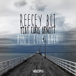 Cover of Don't Look Back
