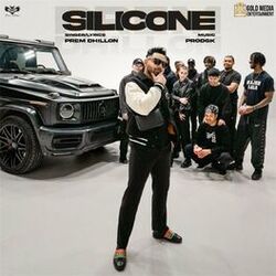 Cover of Silicone