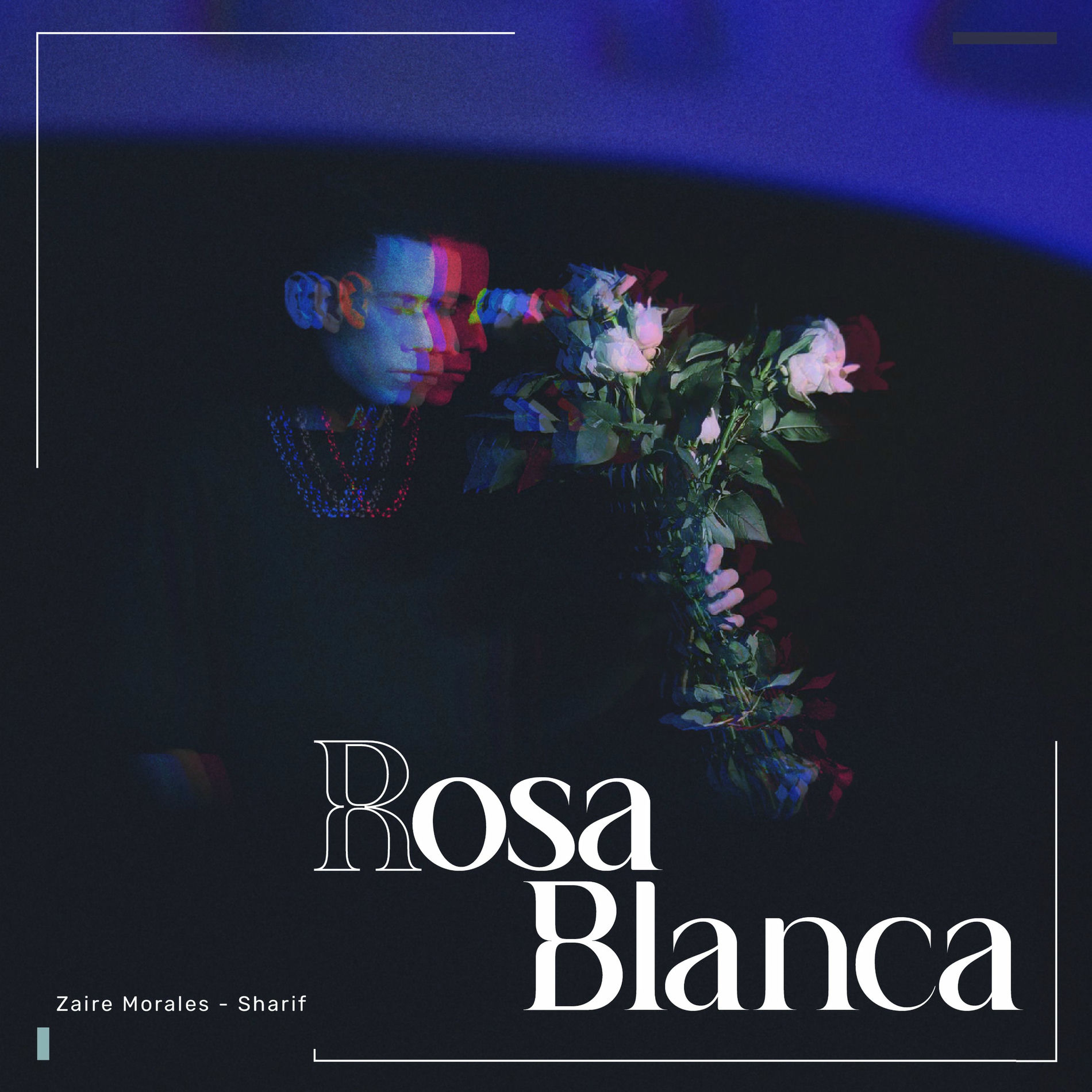 Album cover of Rosa Blanca