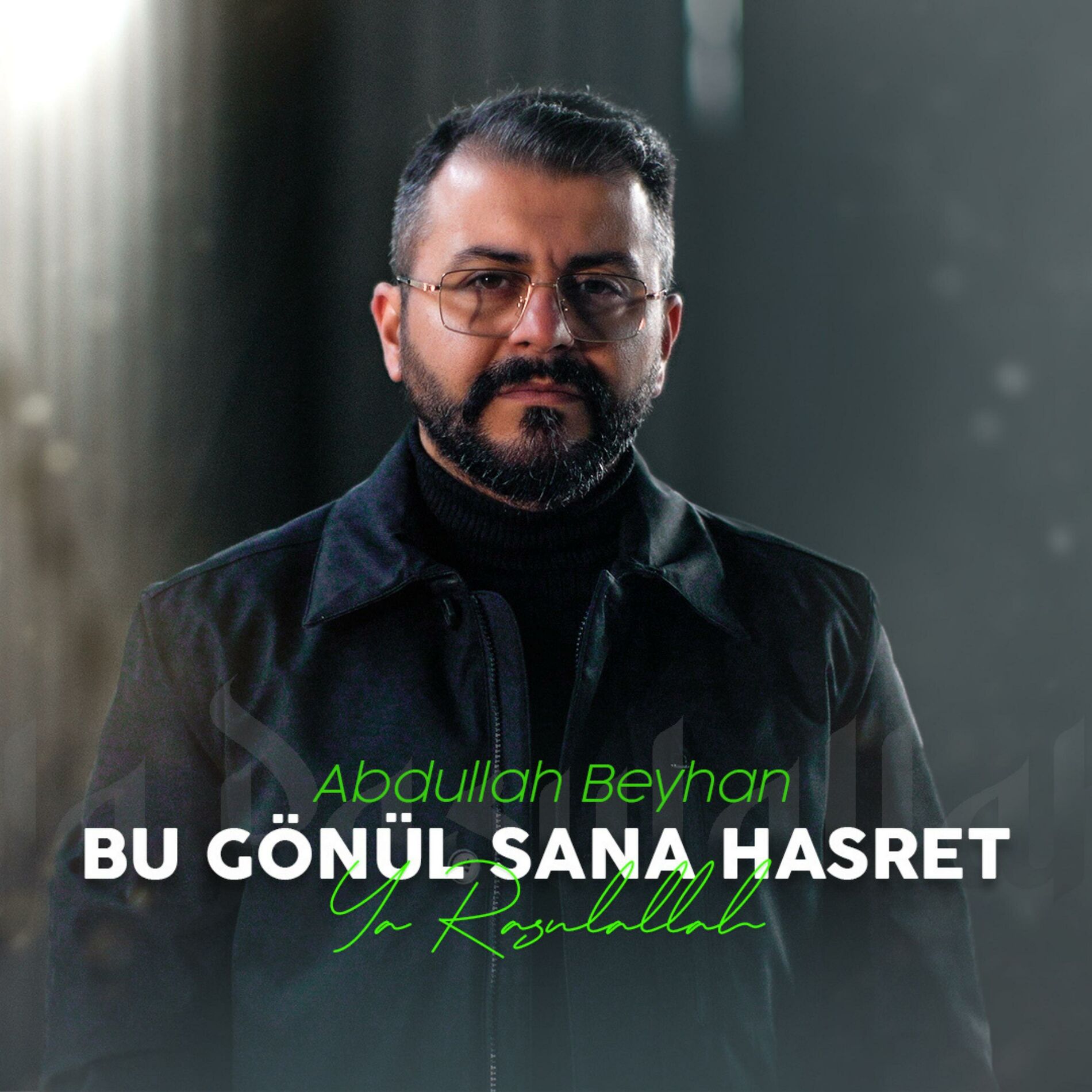 Album cover of Bu gönül sana hasret