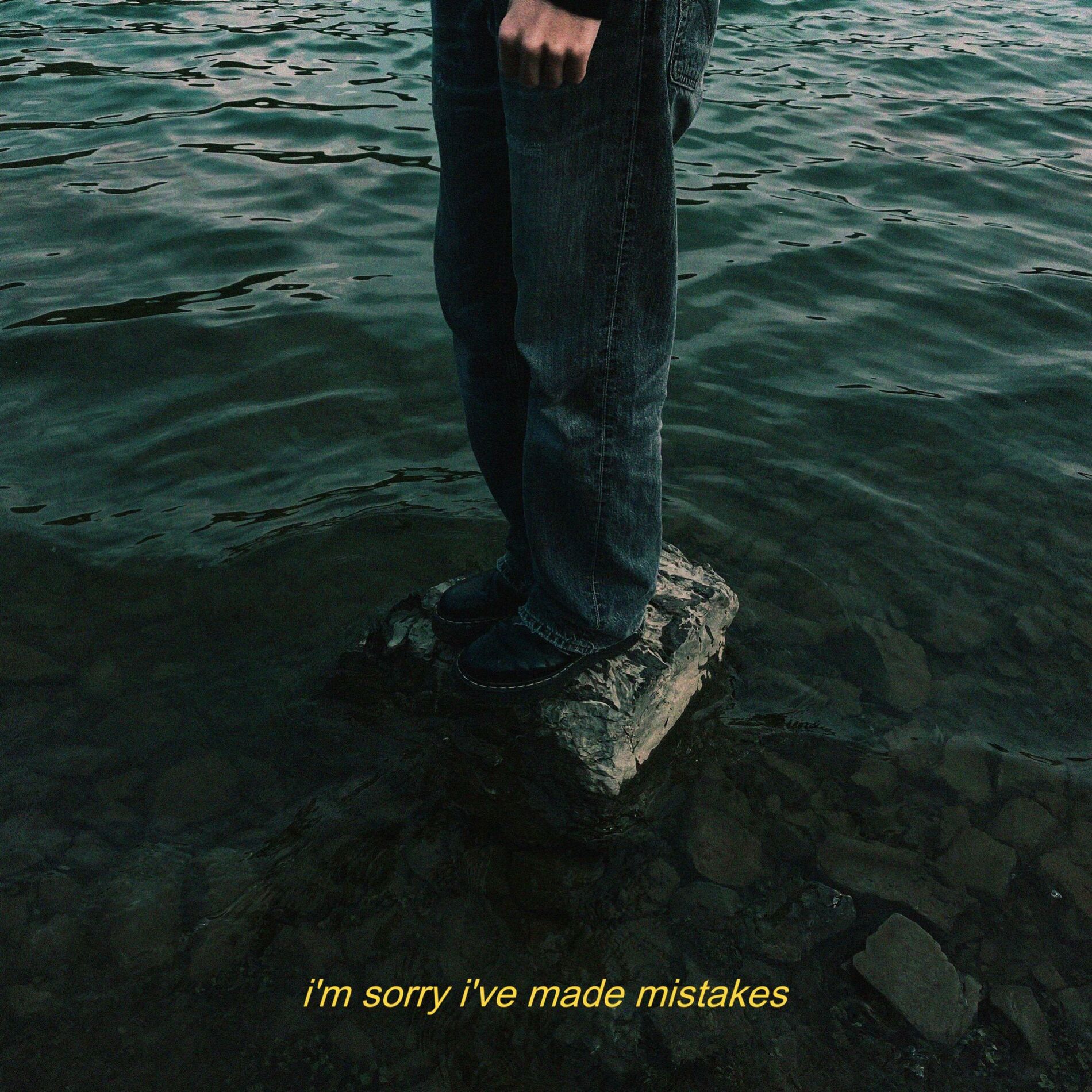 Album cover of i'm sorry i've made mistakes