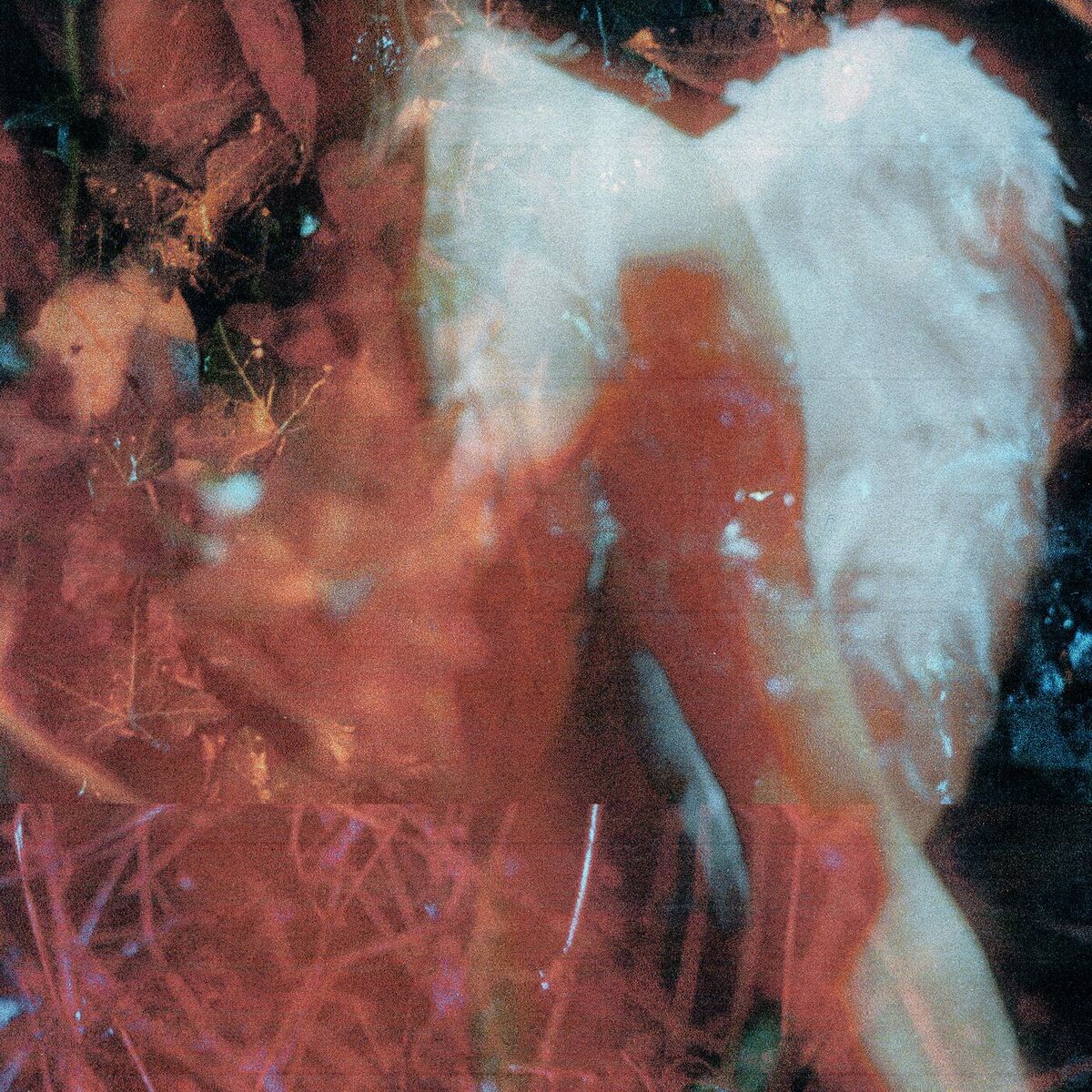 Album cover of Stray