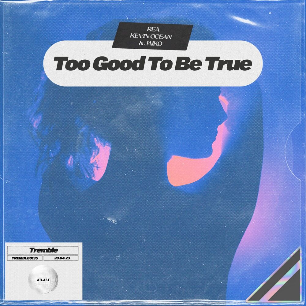 Picture of Too Good To Be True