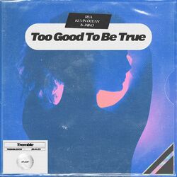 Cover of Too Good To Be True