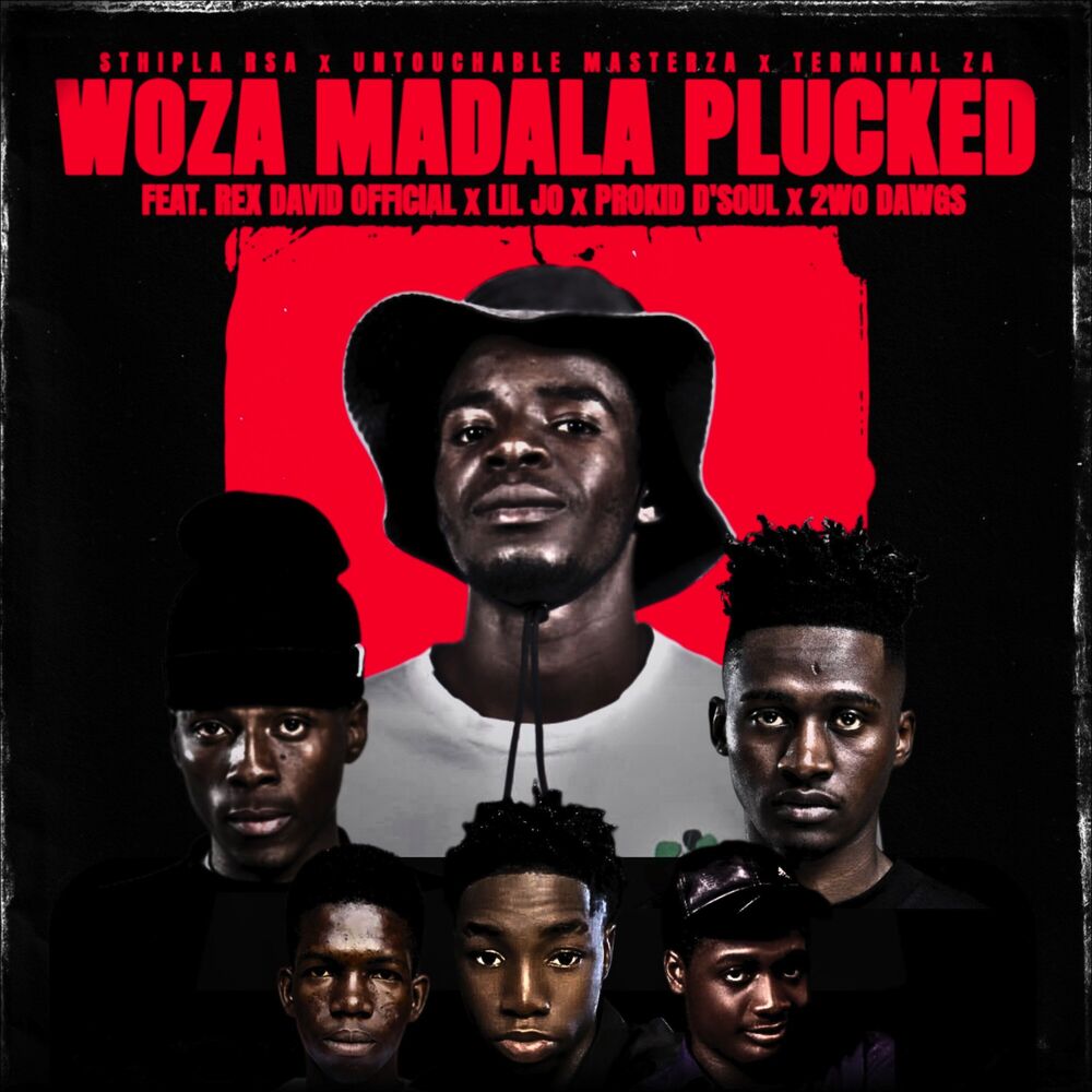 Picture of Woza Madala Plucked