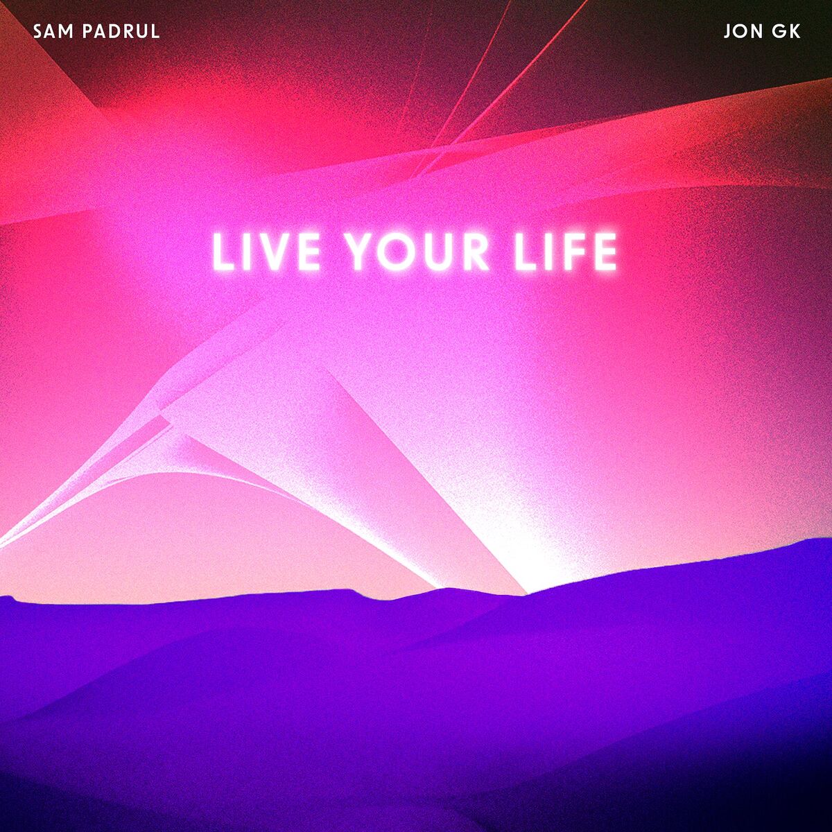 Album cover of Live Your Life