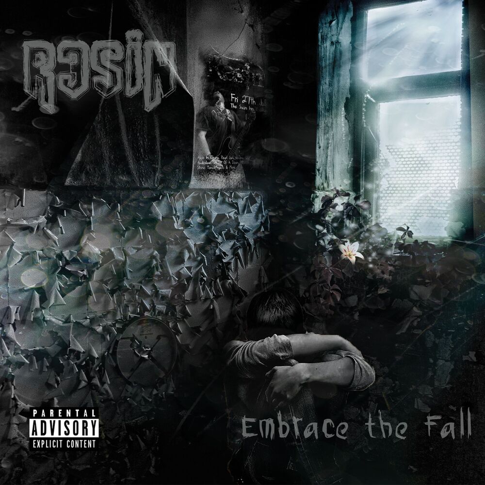 Picture of Embrace the Fall