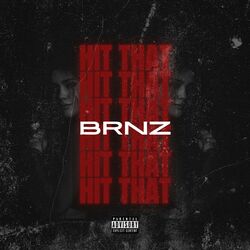 Cover of Hit That