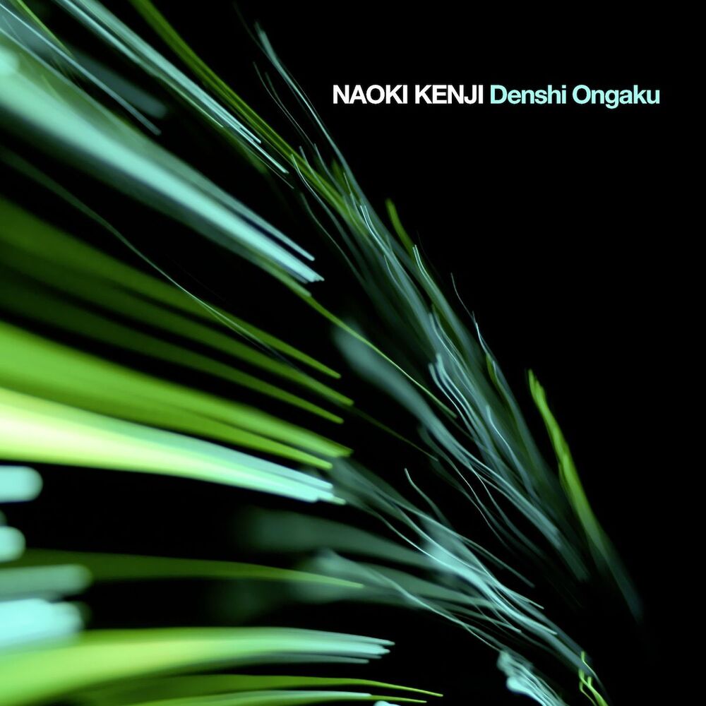 Picture of Denshi Ongaku