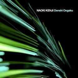 Cover of Denshi Ongaku