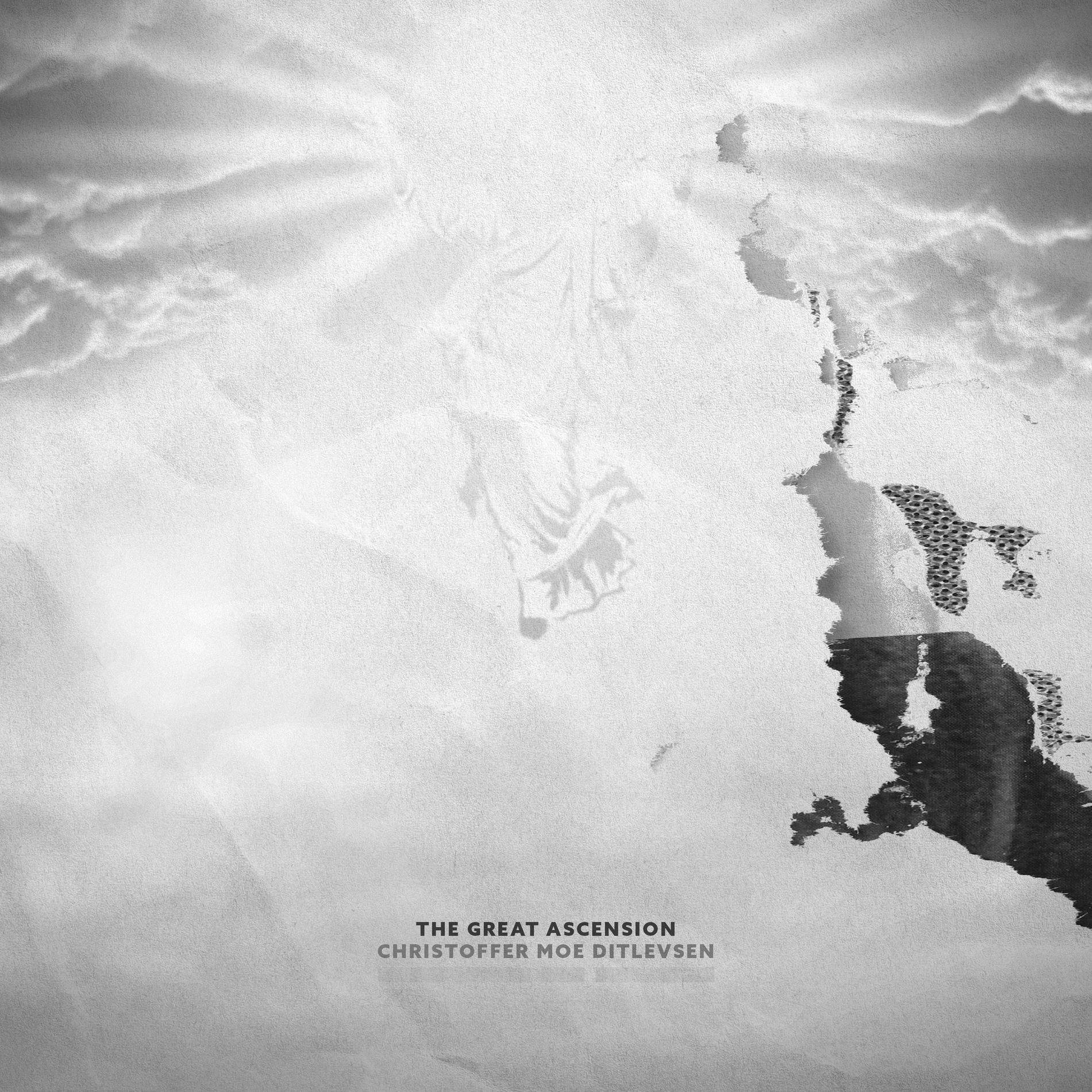 Album cover of The Great Ascension