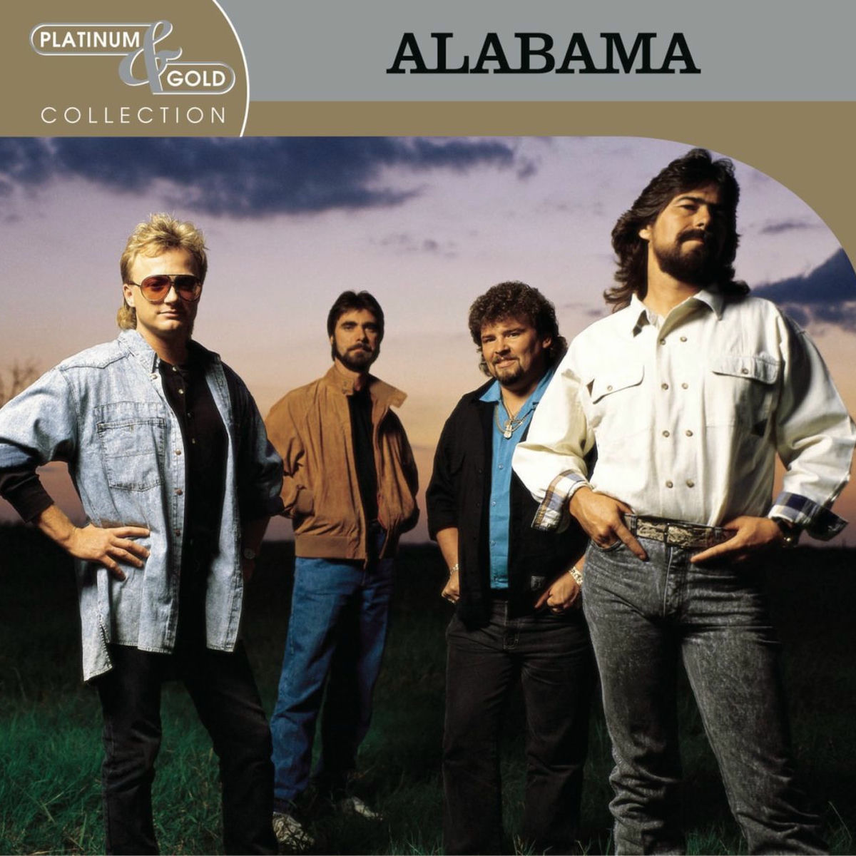 Album cover of Platinum & Gold Collection