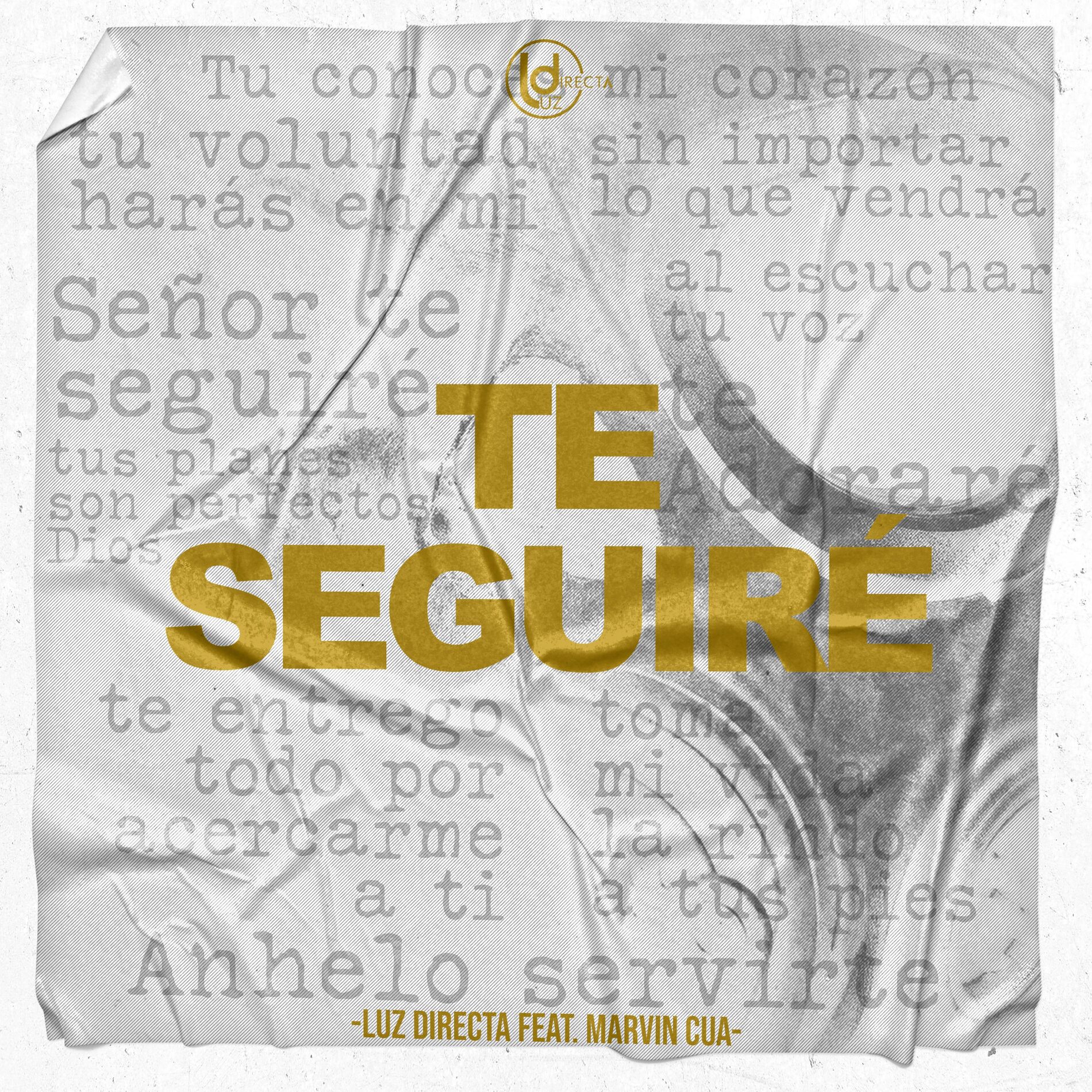 Album cover of Te Seguiré
