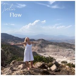 Cover of Flow